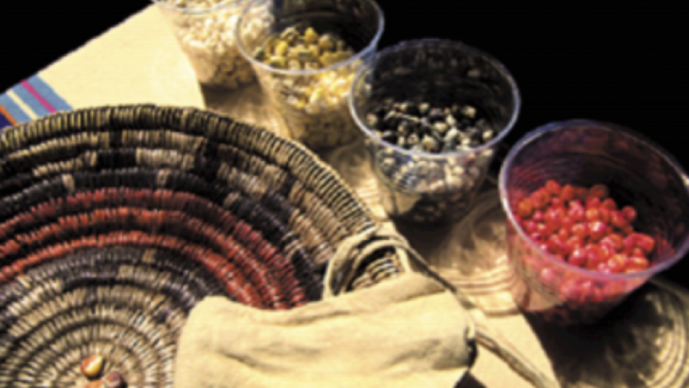 Diné Food Sovereignty - A Report on the Navajo Nation Food System and the Case to Rebuild a Self Sufficient Food System for the Diné People
