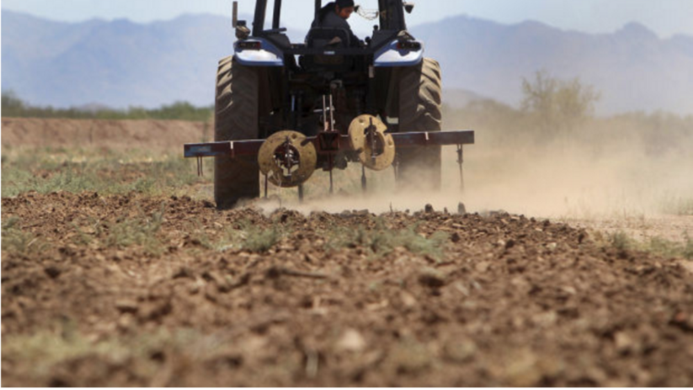 A Solution: Sowing the future for tribal youth