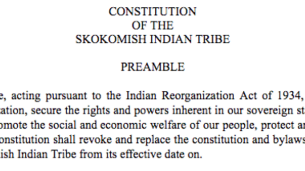 Skokomish Indian Tribe: Initiative and Referendum Excerpt