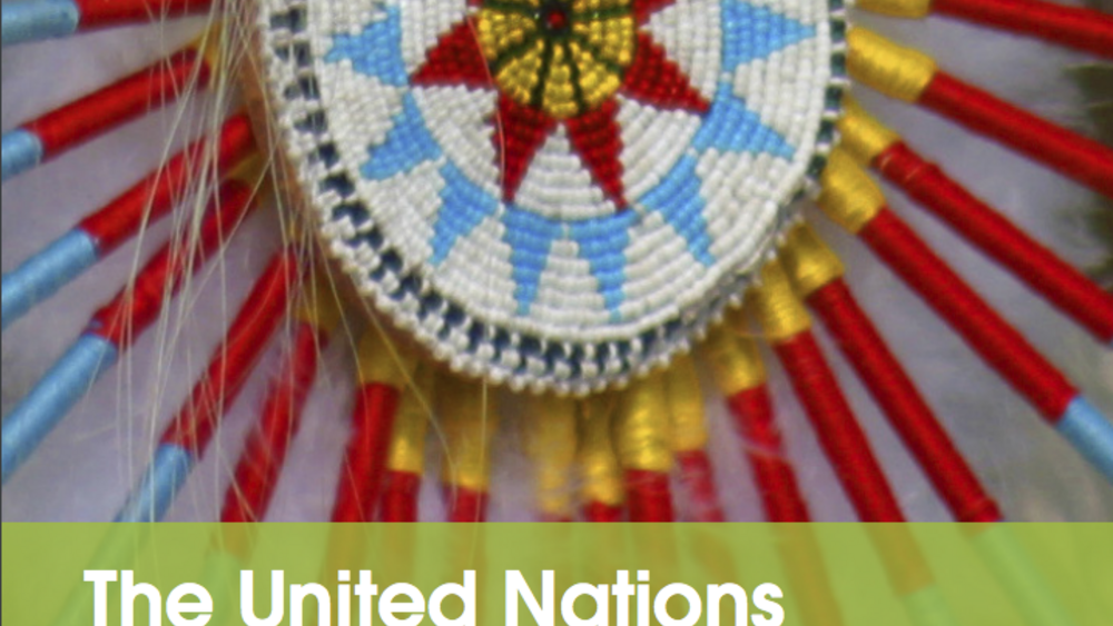 The United Nations Declaration on the Rights of Indigenous Peoples: With an Introduction for Indigenous Leaders in the United States