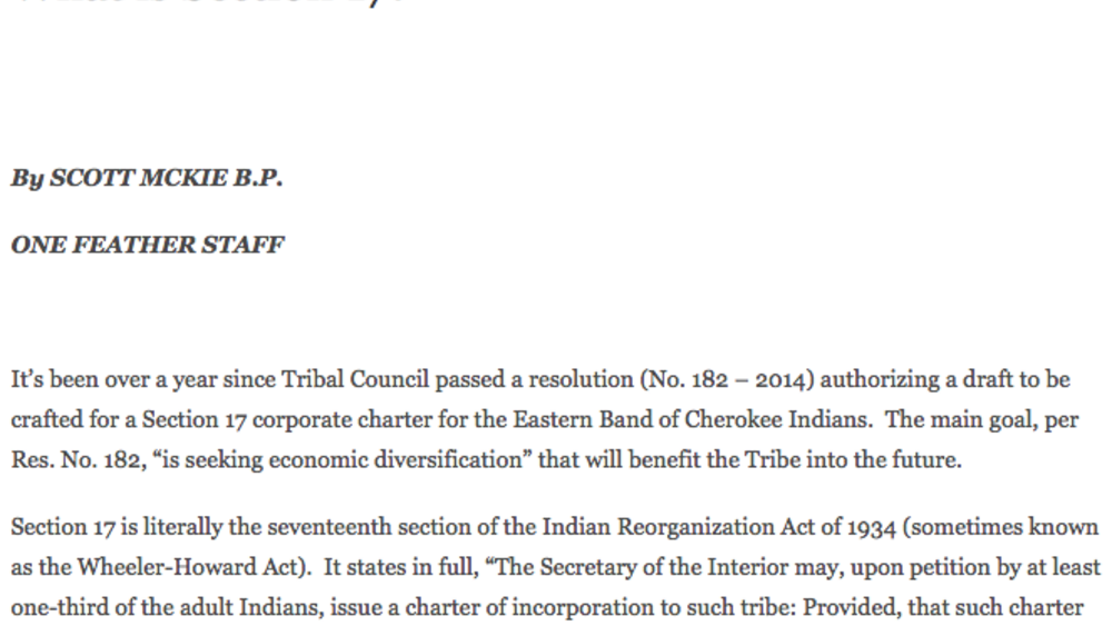 What is Section 17? What is Section 17?