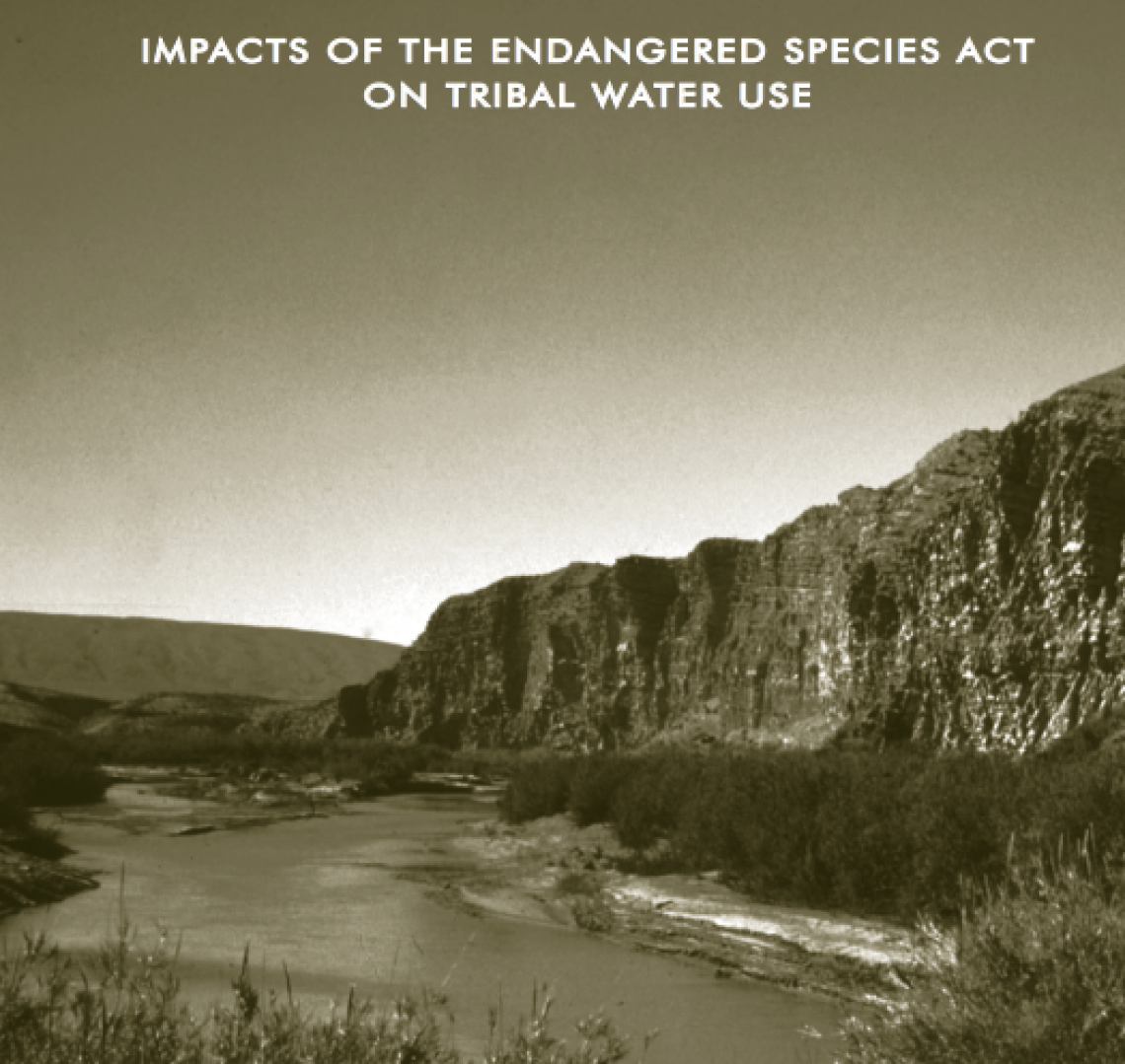 Protecting the Fish and Eating Them, Too: Impacts of the Endangered Species Act on Tribal Water Use