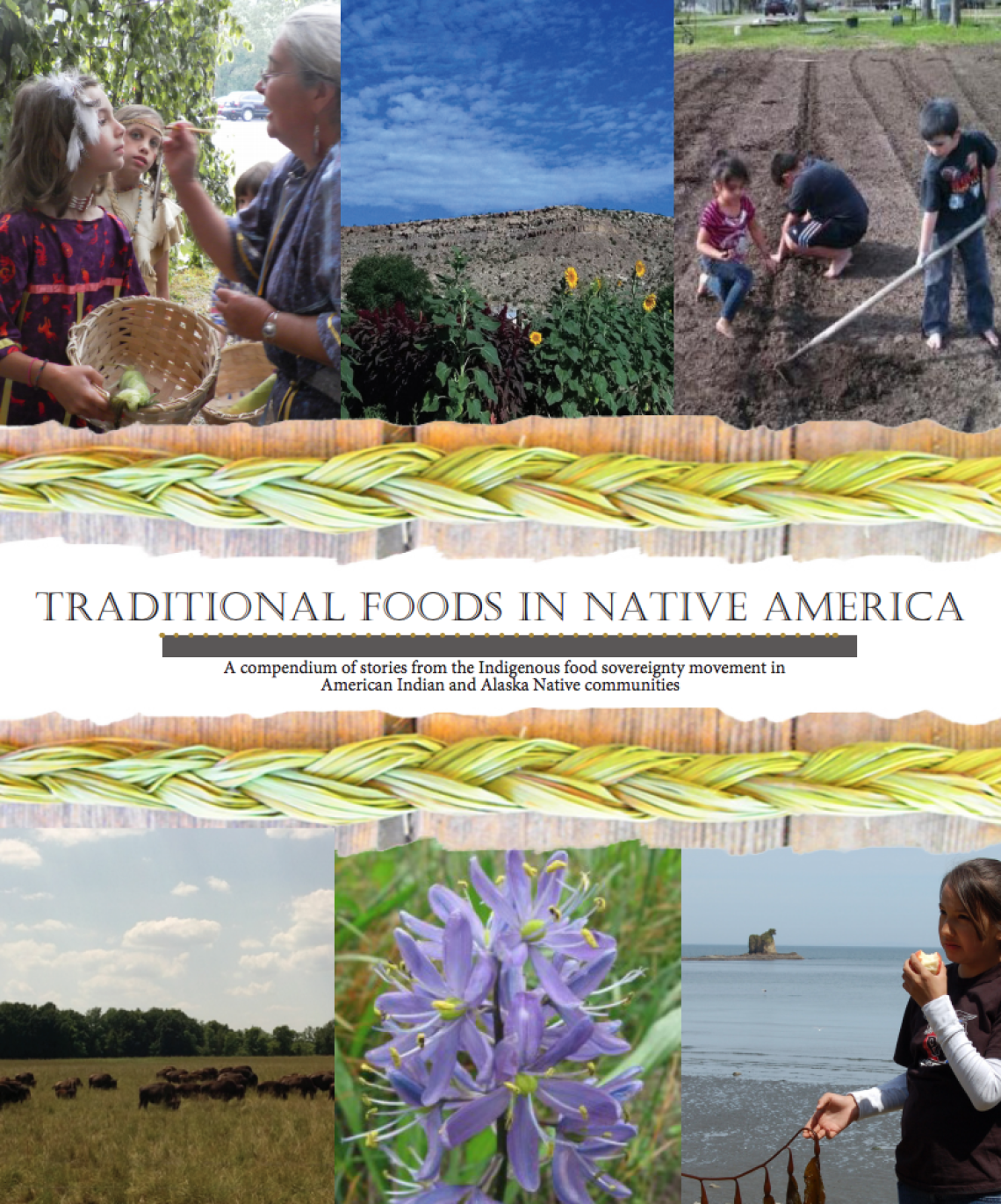 Traditional Foods in Native America