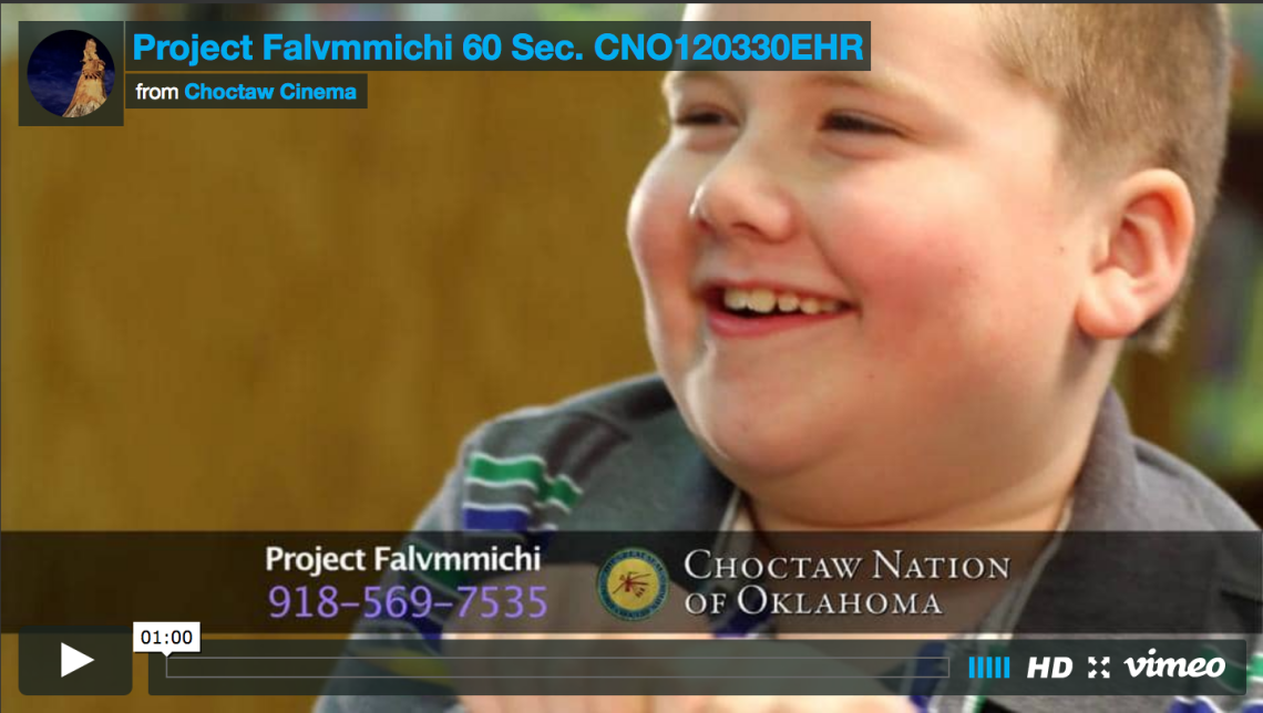 Project Falvmmichi 60