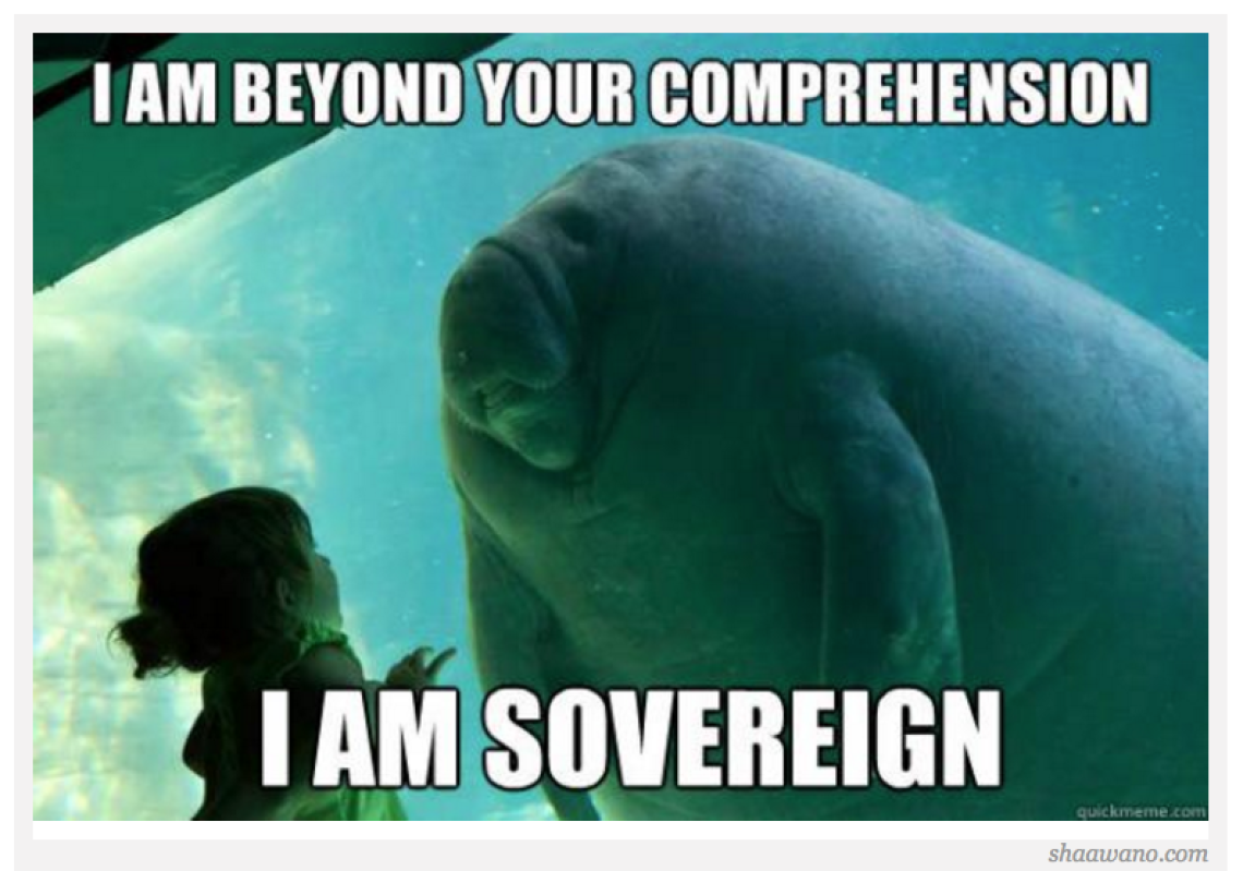 Professor Breaks Down Sovereignty and Explains its Significance