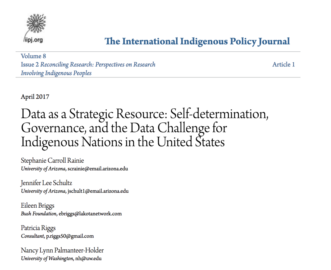 Data as a Strategic Resource: Self-determination, Governance, and the Data Challenge for Indigenous Nations in the United States