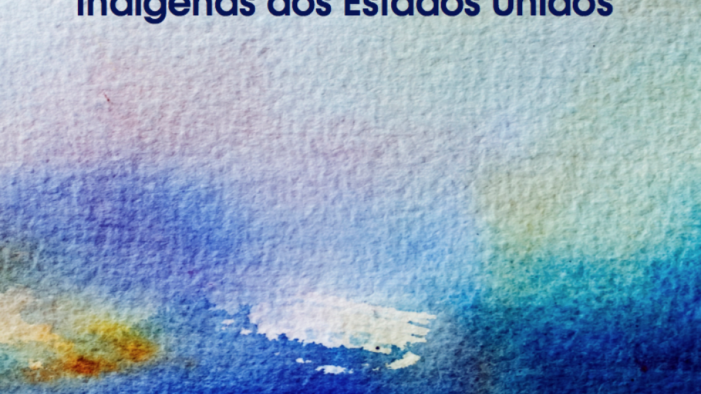Determinantes de sucesso no desenvolvimentodas nacões Indígenas dos Estados Unidos (Portuguese)