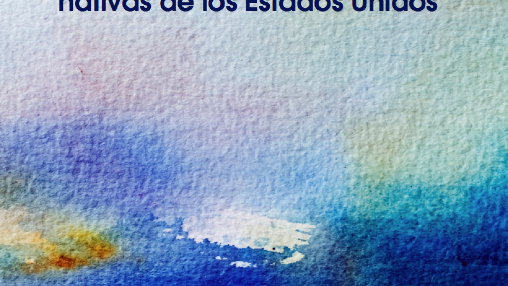Determinantes del Éxito del desarrollo En las Naciones nativas de los Estados Unidos (Spanish)