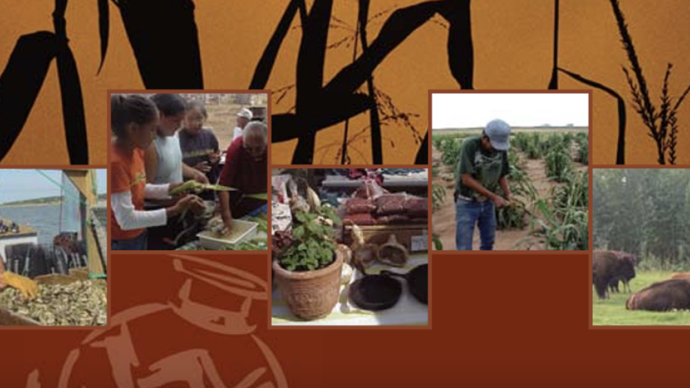 Food Sovereignty Assessment Tool