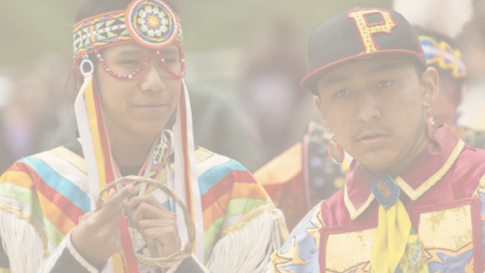 Becoming Visible: A Landscape Analysis of State Efforts to Provide Native American Education for All