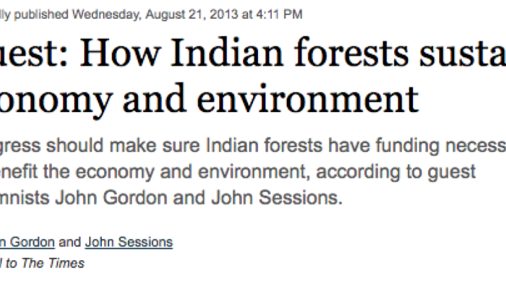 Opinion: How Indian forests sustain economy and environment