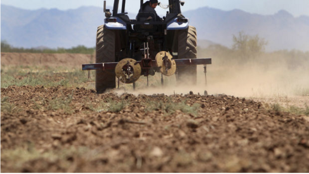 A Solution: Sowing the future for tribal youth A Solution: Sowing the future for tribal youth