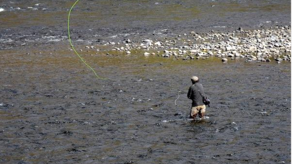 Tribes Recondition Steelhead to Bring Back Endangered Trout