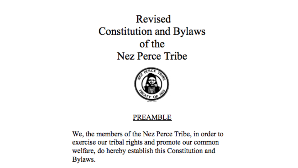 Nez Perce Tribe: Legislative Functions Excerpt