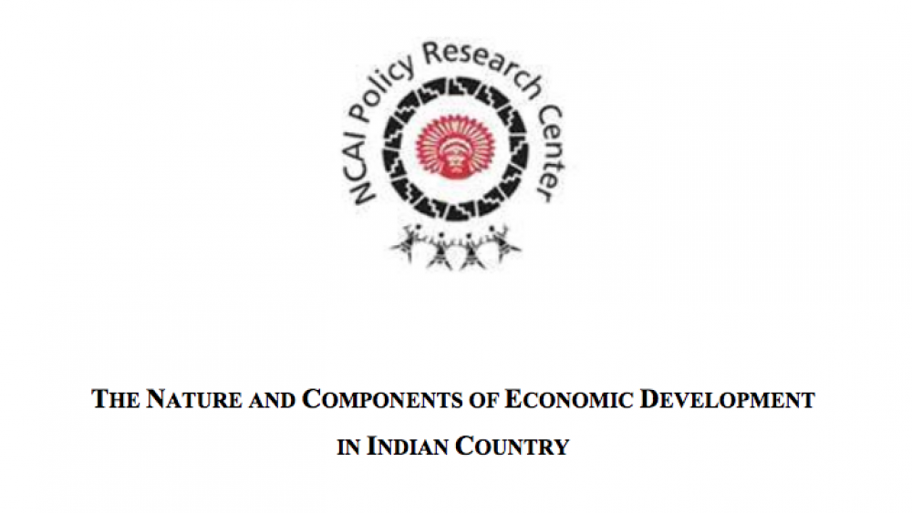 The Nature and Components of Economic Development in Indian Country