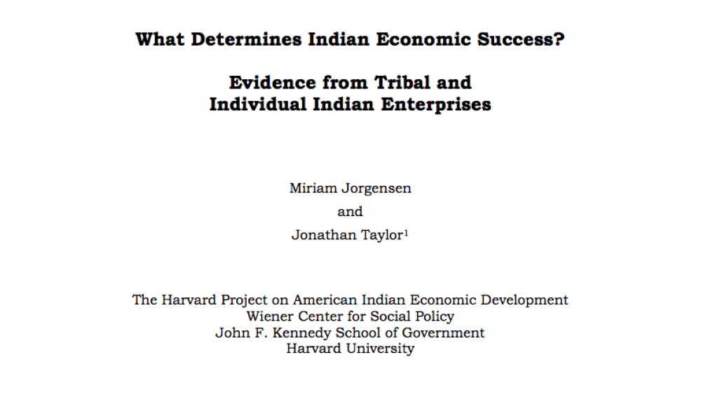 What Determines Indian Economic Success? Evidence from Tribal and Individual Indian Enterprises