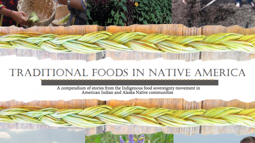 Traditional Foods in Native America