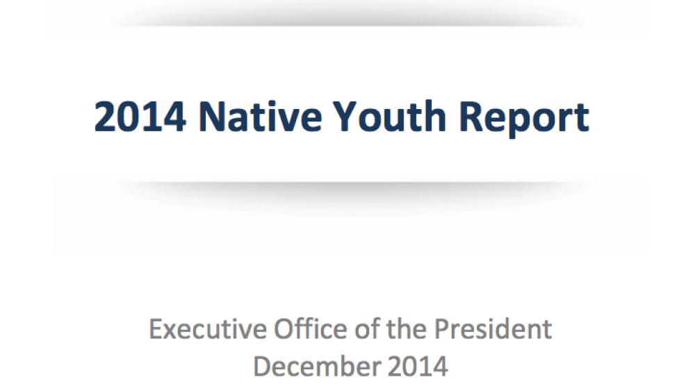 2014 Native Youth Report