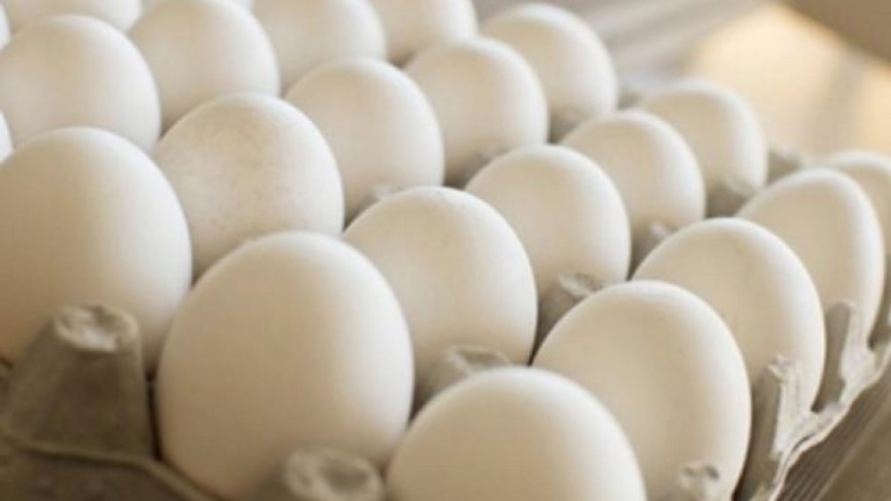 Hatching Success: Ak-Chin Indian Communityâ€™s Industrial Park Home to Only Egg Producer in Arizona