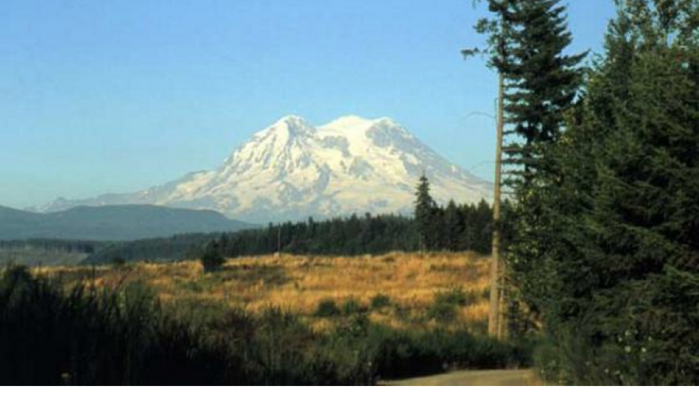 Nisqually Tribe, State Partnering on Development of Nisqually State Park