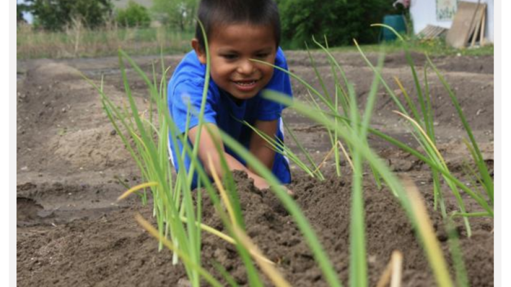 Cheyenne River Youth Projectâ€™s Garden Evolving Into Micro Farm