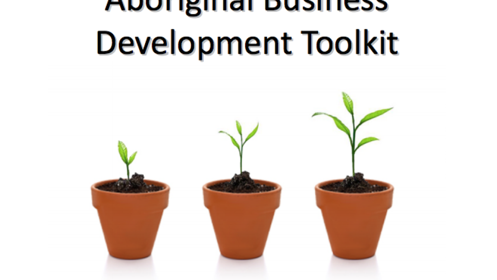 Aboriginal Business Development Toolkit Aboriginal Business Development Toolkit