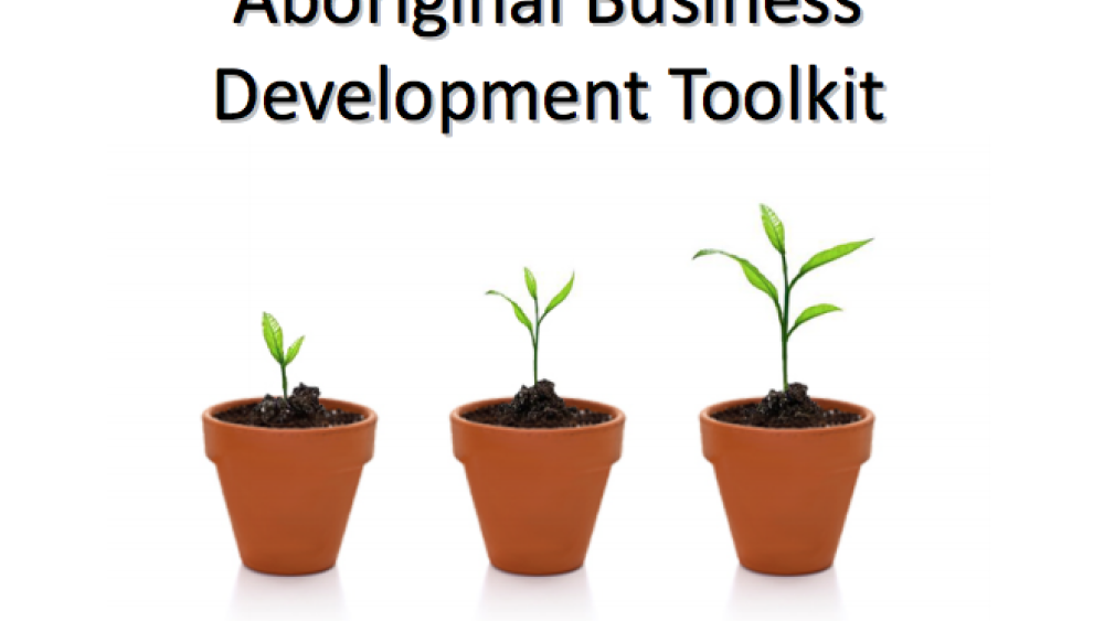 Aboriginal Business Development Toolkit