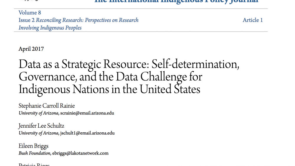 Data as a Strategic Resource: Self-determination, Governance, and the Data Challenge for Indigenous Nations in the United States