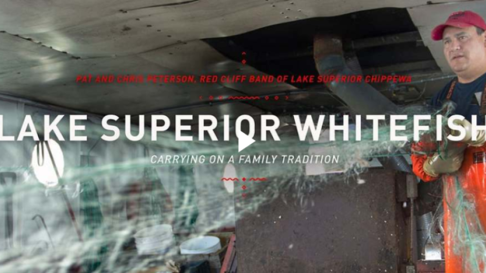 The Ways: Lake Superior Whitefish: Carrying on a Family Tradition The Ways: Lake Superior Whitefish: Carrying on a Family Tradition