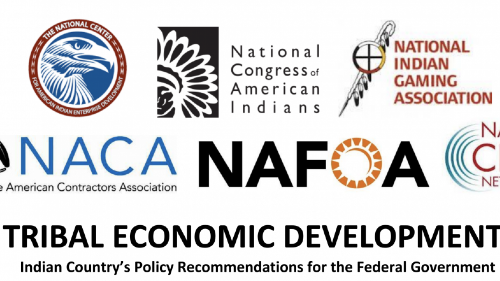 TRIBAL ECONOMIC DEVELOPMENT: Indian Country’s Policy Recommendations for the Federal Government