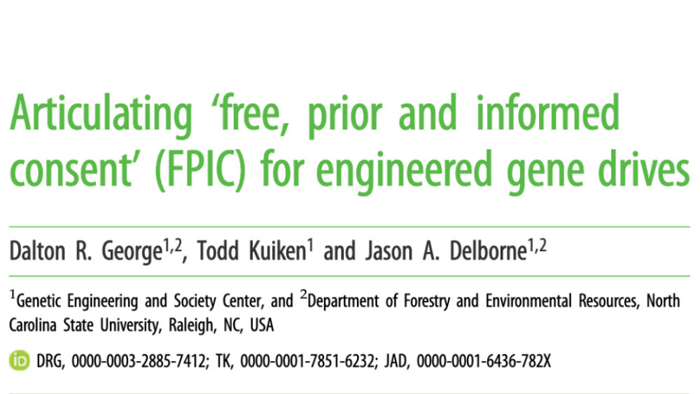 Articulating‘free, prior and informed consent’ (FPIC) for engineered gene drives