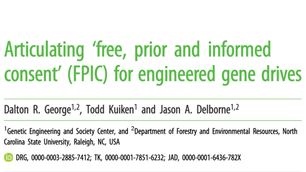 Articulating‘free, prior and informed consent’ (FPIC) for engineered gene drives Articulating‘free, prior and informed consent’ (FPIC) for engineered gene drives